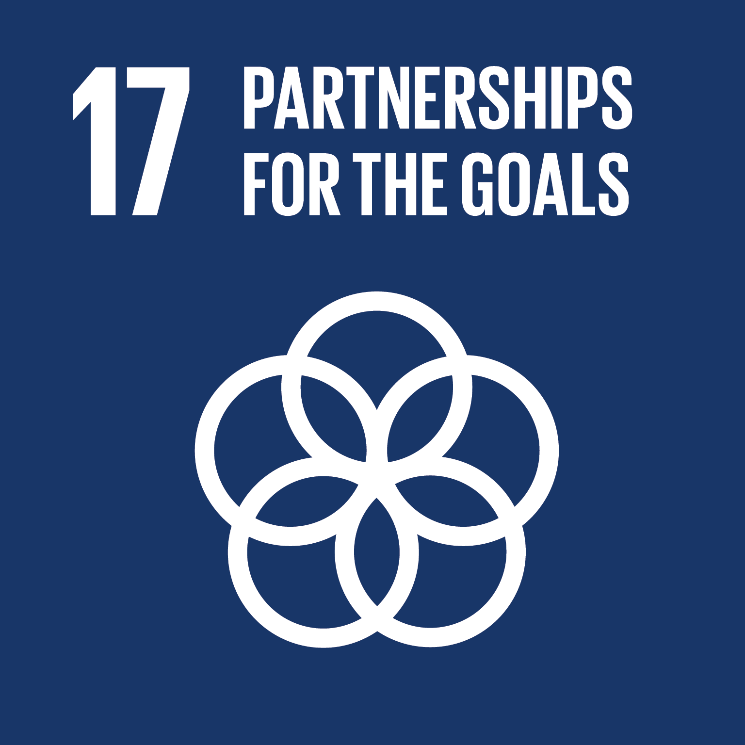 17 - Partnerships for the Goals